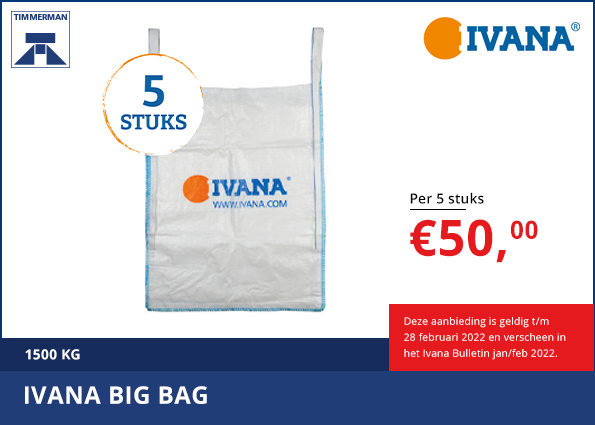 Ivana big bag
